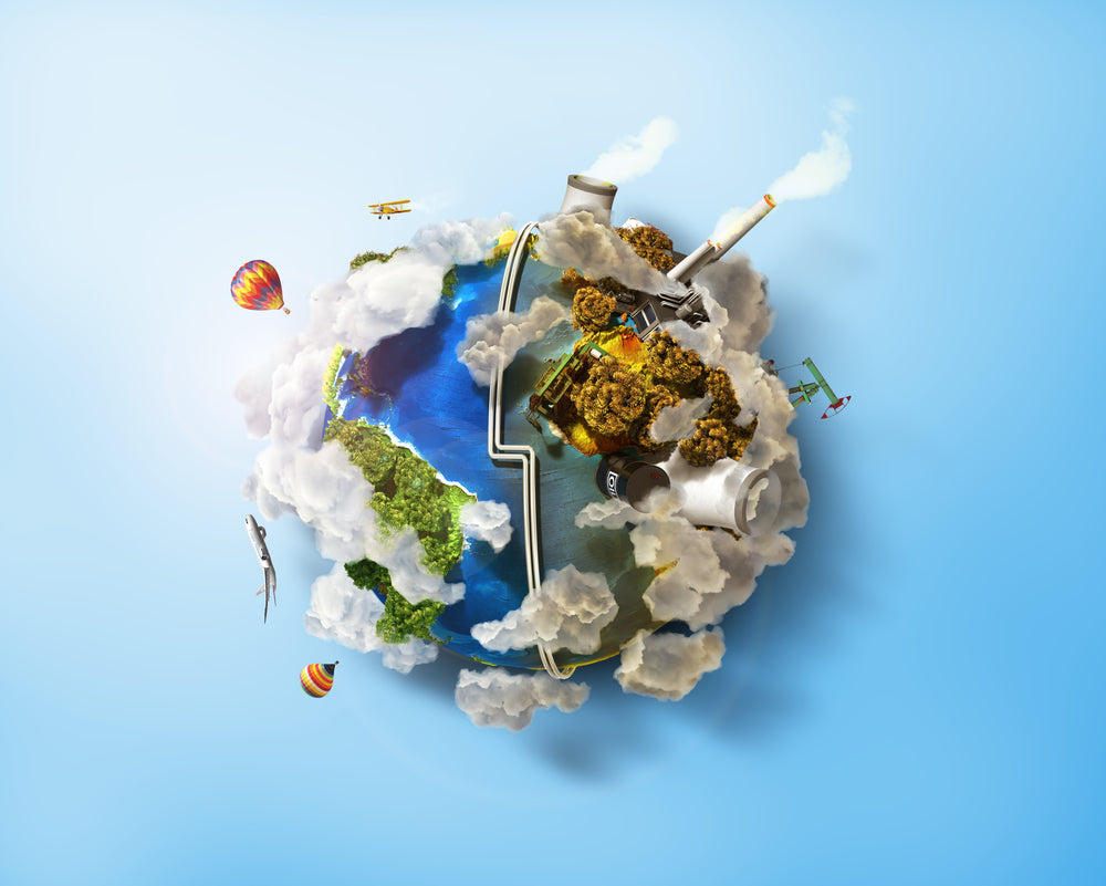 It's World Environment Day!