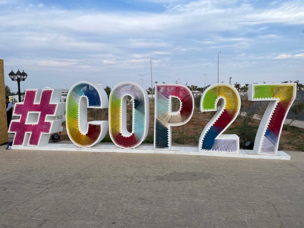 COP27 Unpacked: Interview with the CEO of Delphis Eco by Ellie Meredith