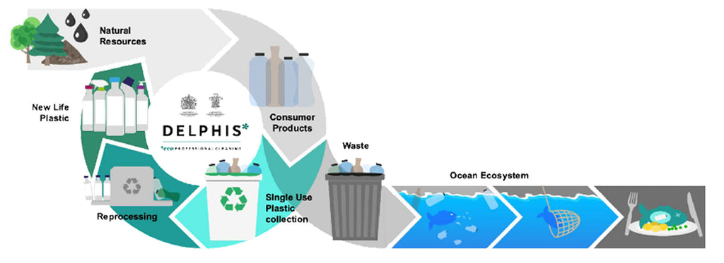 Get Smart on Recycling: What You Need to Know