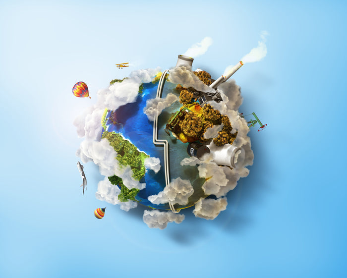 It's World Environment Day!