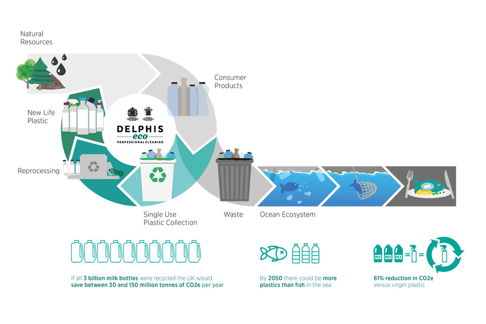 Illustration of the Delphis Eco Recycled Plastic Bottle journey