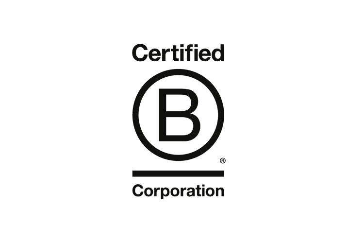 WHAT IS B CORP?
