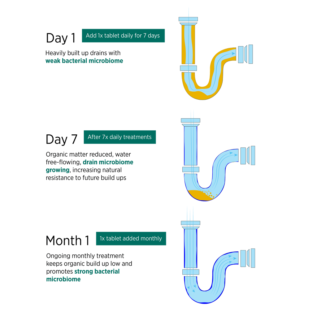 Delphis Eco drain cleaner and maintainer usage details