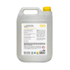 Delphis Eco Commercial Foaming Descaler 5L Back Label